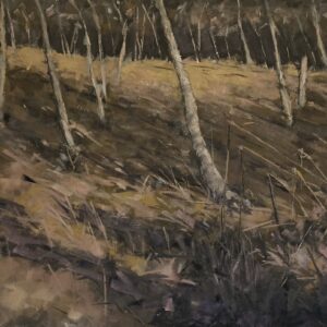 Wentwood, South Wales No. 2 (2026)