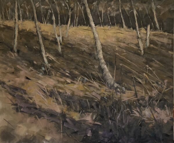 Wentwood, South Wales No. 2 (2026)